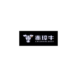 chizhang logo z