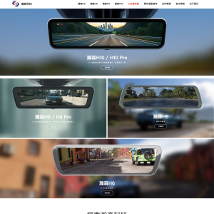 www.hansingz.com web
